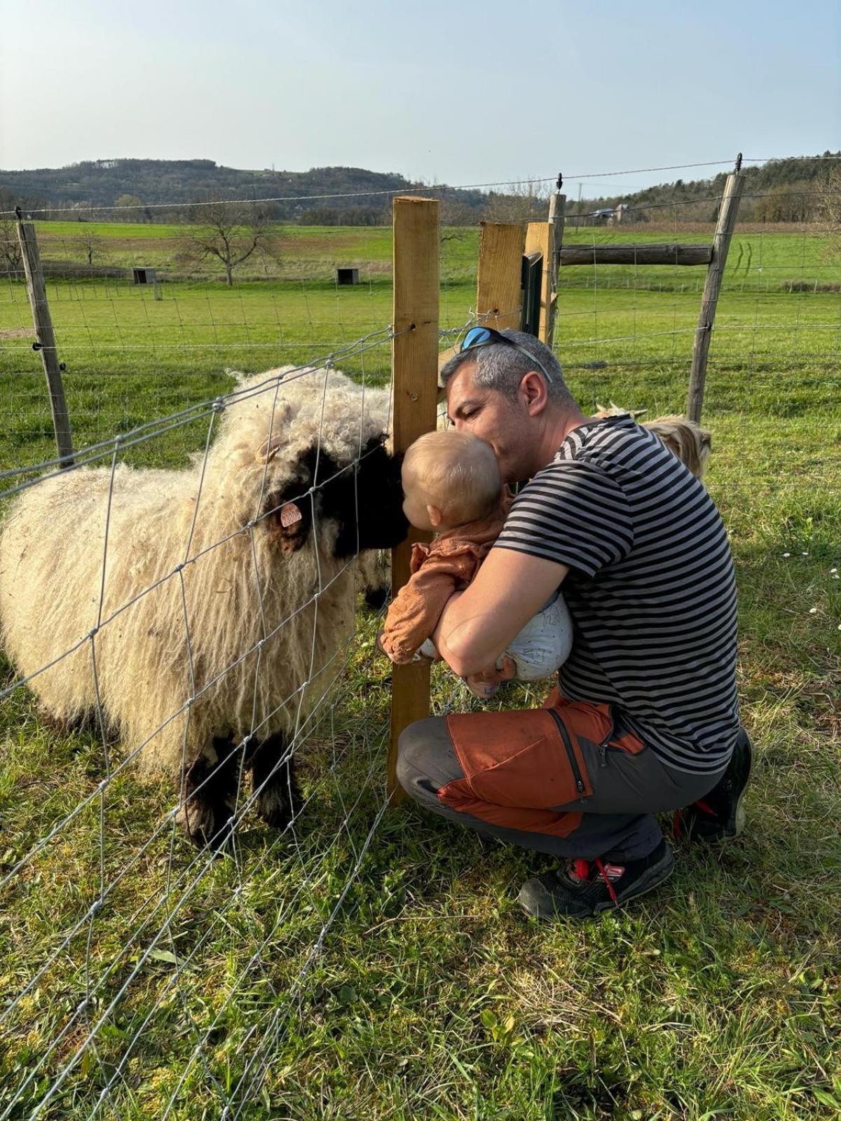 Ferme Des Petites Oreilles 4 Etoiles Монтиняк Екстериор снимка